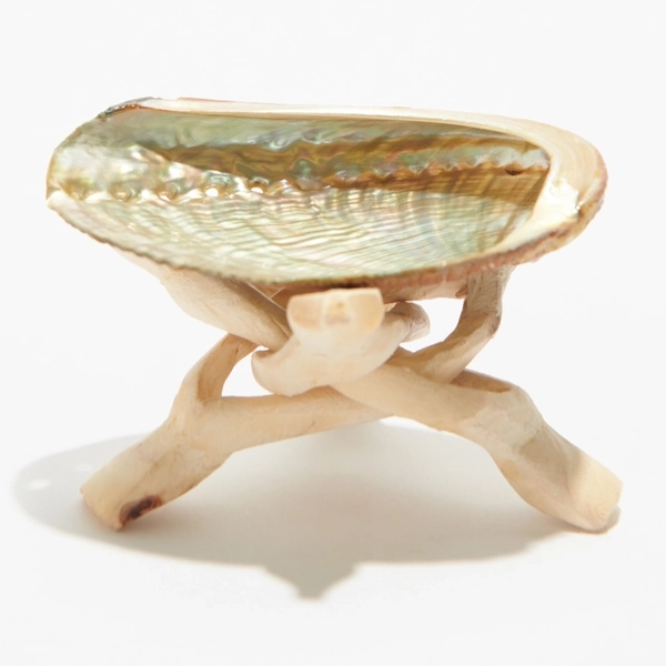 abalone-shell-smudge-bowl1
