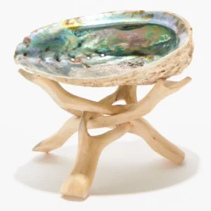 abalone-shell-smudge-bowl2