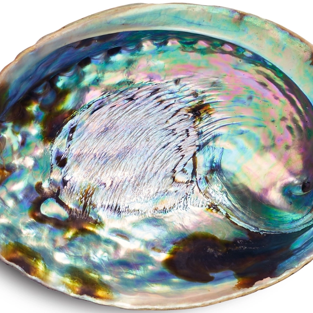 abalone-shell-smudge-bowl3