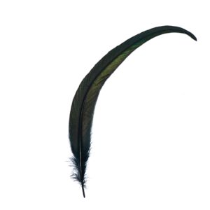 black-crow-feathers-smudging6