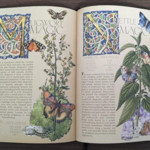 secret-grimoire-of-plant-and-crystal-magic-vol1-7